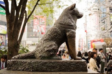 Mejor Guía Tokio en 3 días