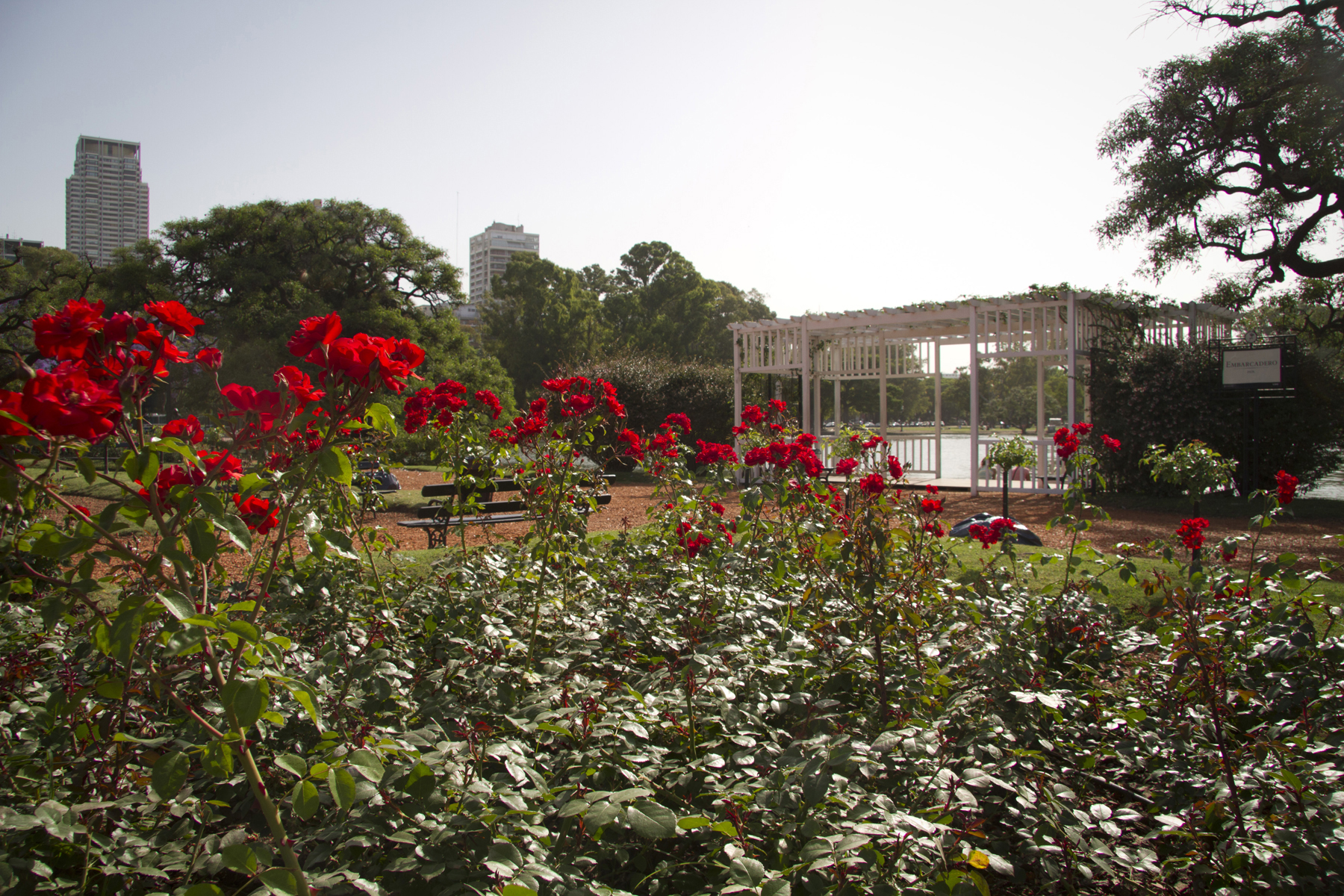 Mejor Guía Buenos Aires en 3 días