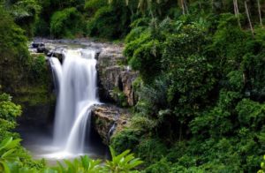 Mejor Guía Bali En 3 Días