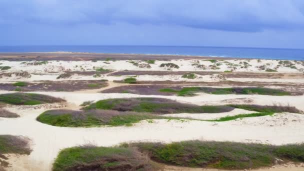 Mejor Guía Aruba en 3 días