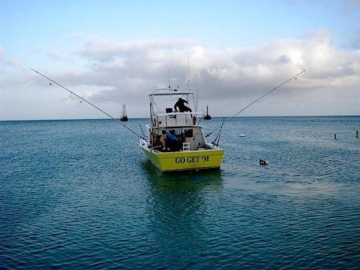 Mejor Guía Aruba en 3 días