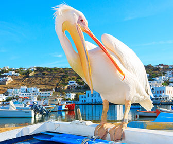 viajar a mykonos