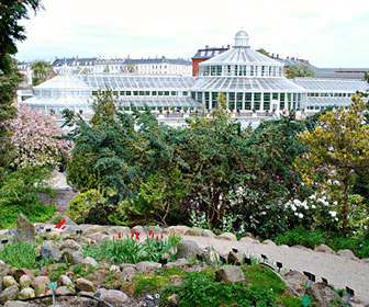 Copenhagen-jardin-botanico