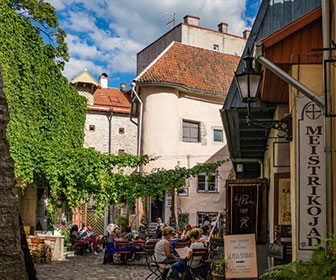 Mejor Guía Tallin en tres días