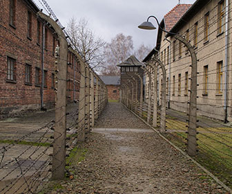 ir a auschwitz