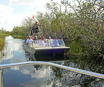 Miami en 3 dias Everglades