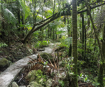 Guia de viaje de San Juan Puerto Rico